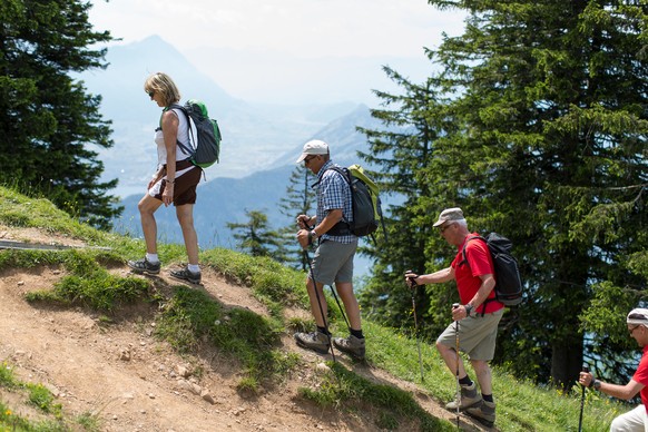 ZUR SOMMERFERIEN- UND WANDERZEIT STELLEN WIR IHNEN HEUTE DIESES NEUE BILDMATERIAL ZUR VERFUEGUNG --- Wanderer auf dem Seeweg von Rigi Scheidegg nach Unterstetten, aufgenommen am Sonntag, 22. Juni 2014 ...