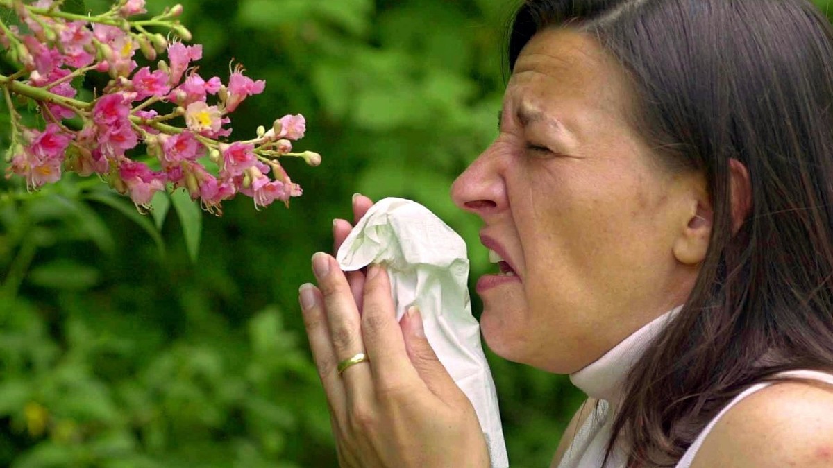 A young woman sneezes in front of the blossom of a chestnut tree in Wuerzburg, Germany, May 6, 2003. More and more people are affected by hay fever and allergies, the German society for allergology re ...