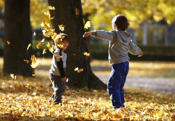 Die beiden Knaben Justin und Noah geniessen am Mittwoch, 15. Oktober 2008 den herrlichen und milden Herbsttag bei einer Laubschlacht auf der Quaderwiese in Chur. (KEYSTONE/Arno Balzarini)