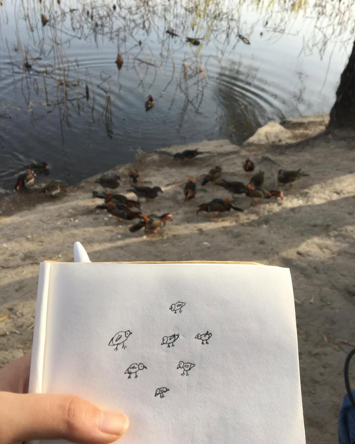 cute news tier enten

https://www.instagram.com/p/DSr93ZwDOy3/?img_index=1