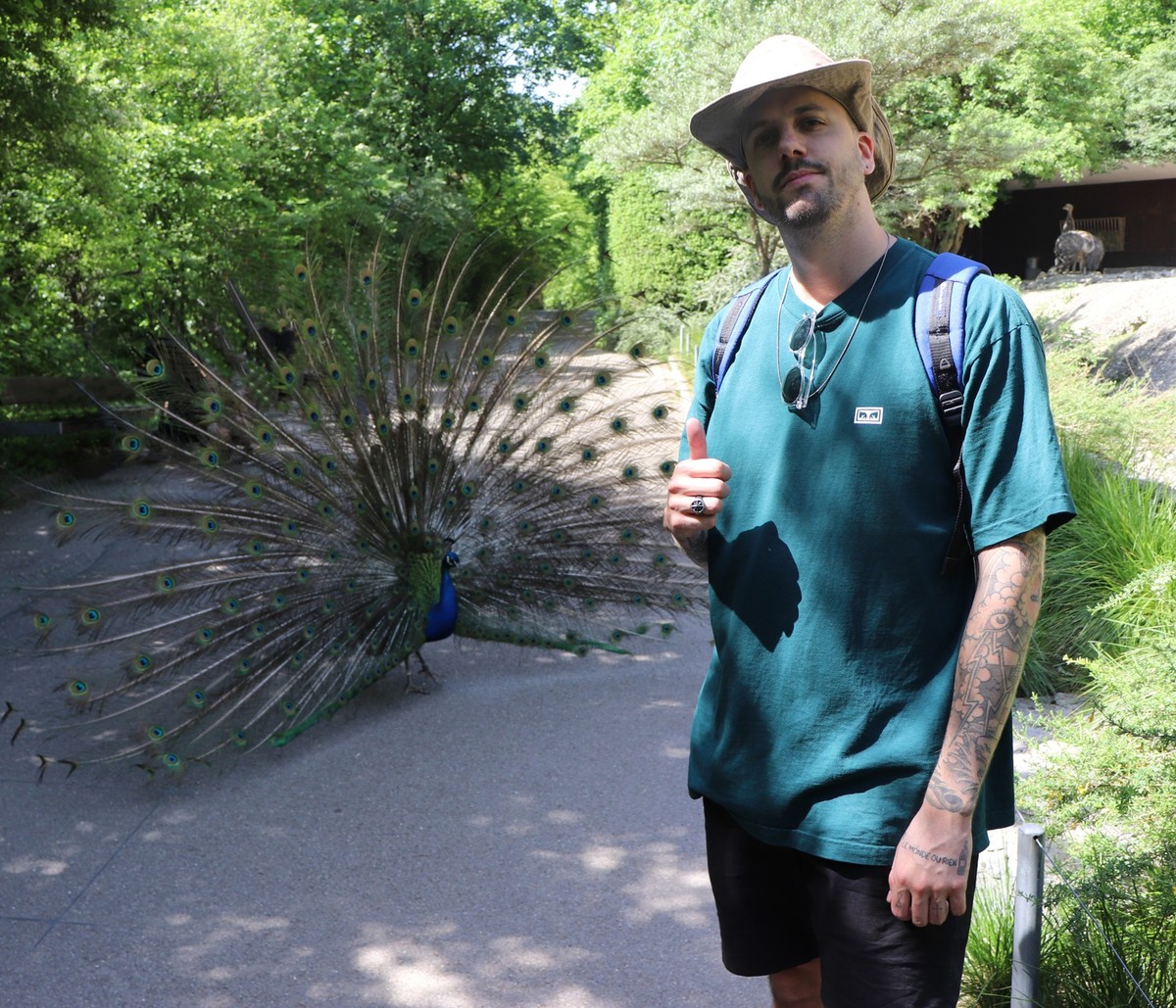 Bei der anschliessenden Umfrage auf der Redaktion, welches denn nun das schönere Geschöpf auf dem Foto sei, belegte Sergio den dritten Platz hinter dem Pfau und dem Strauss im Hintergrund.