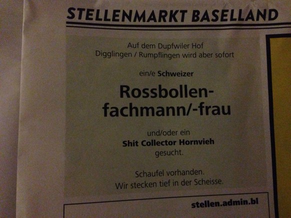 Neuen Job gesucht? 16 Stelleninserate des Grauens\ngeht auch lokal ;)