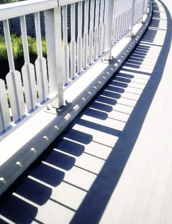 Perfekte Bilder: schatten