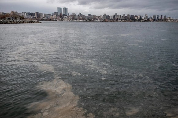 An der Wasseroberfläche am Strand in Istanbul ist der Schleim bereits mit bloßem Auge sichtbar.