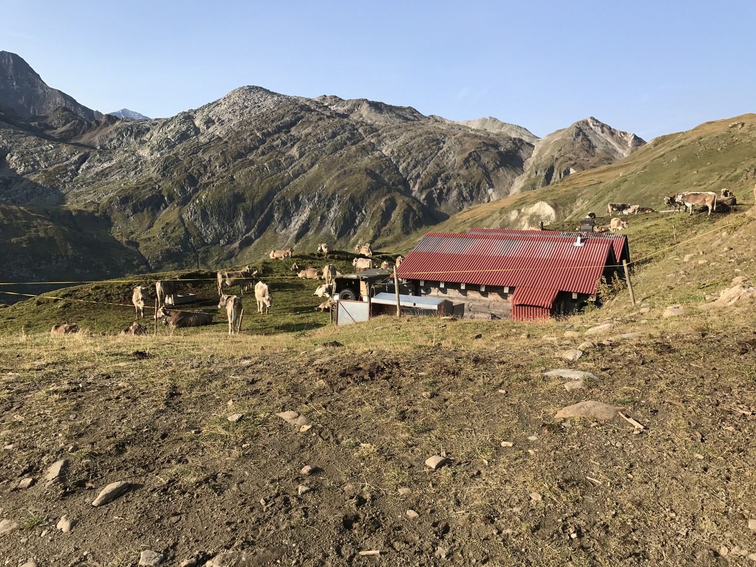 Die Alphütte in der «Stafel Brunegge»: Die Alp Furggen besteht aus vier sogenannten Stafeln. Die Alp-Equipe wechselt alle paar Wochen zur nächsten Stafel, wo die Kühe wieder frisches Gras finden.