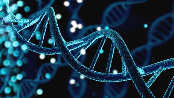 Risikogene gefunden: Jetzt ist klar, wer schwerer an Covid erkrankt.
DNA
