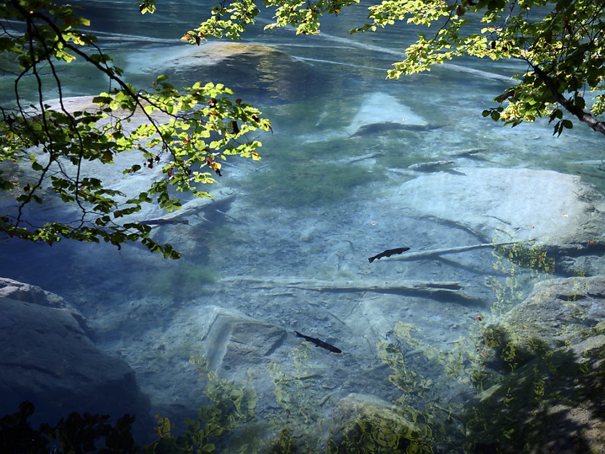 Der idyllische Blausee an einem Septembertag dieses Jahres.