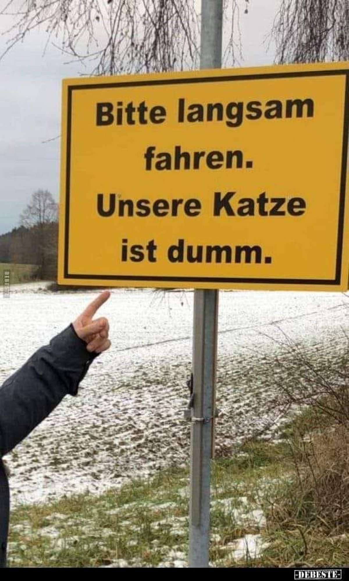 Räge-, Rägetröpfli, es rägnet uf dis Chöpfli. Für immer. LG, PICDUMP\nOb8, 1 dummen Katz!