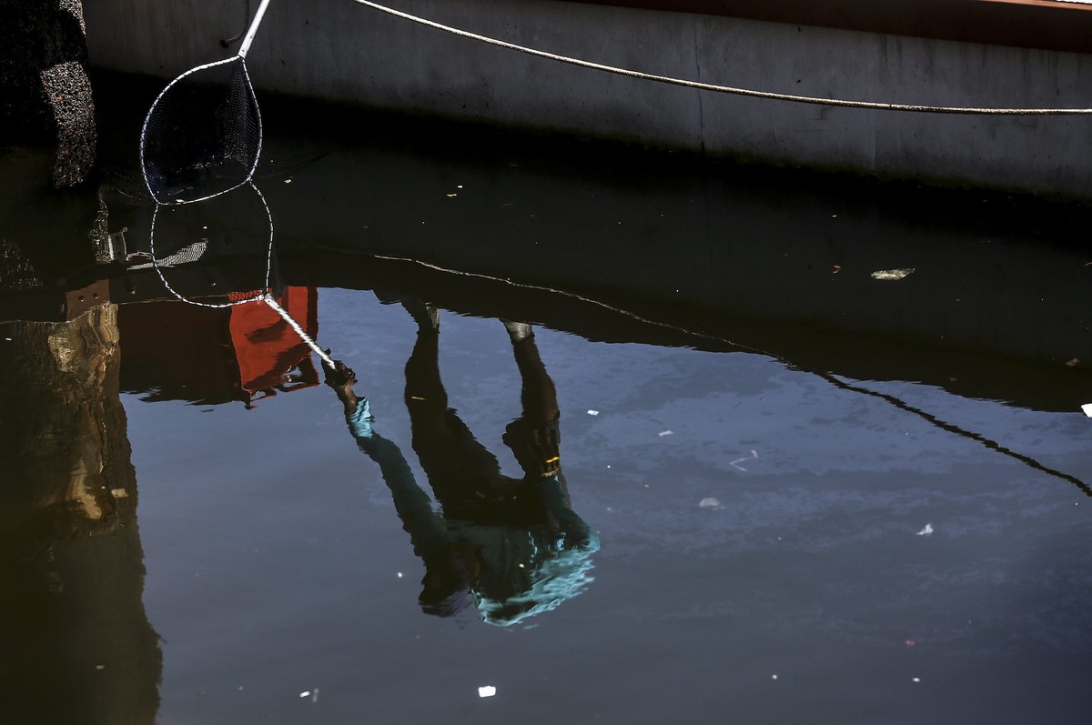 epa05248422 A man cleaning the pollution in front of the hangar of the new 'Marina da Gloria' where the sailing competitions of the Rio 2016 Olympic Games will be held in Rio de Janeiro, Bra ...