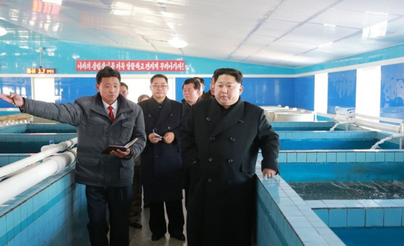 Am Tag des Raketentests besuchte Kim eine Fischfarm.