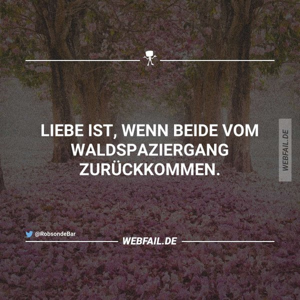 Immer noch alle weg! Ausser mir: PICDUMP! рџЊќ
miau!