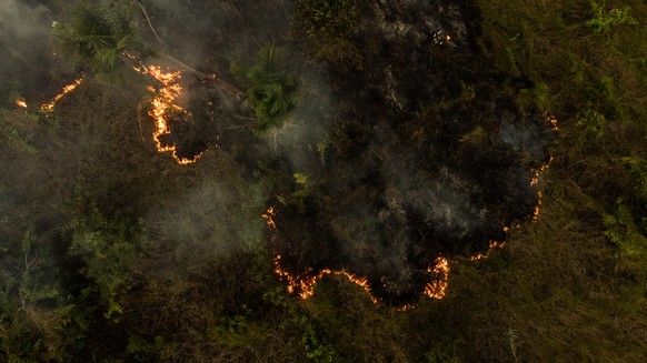 epa11588564 A drone photograph shows a fire that took over a green area in Manaus, Amazonas, Brazil, 05 September 2024. Amazonas, the largest state in Brazil, is suffering from an environmental crisis ...