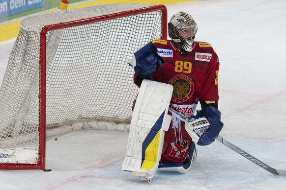 Tigers Goalie Robert Mayer, waehrend dem Qualifikations-Spiel der National League, zwischen den SCL Tigers und dem SC Bern, am Freitag 29. Oktober 2021, im Ilfisstadion in Langnau. (KEYSTONE/Marcel Bi ...