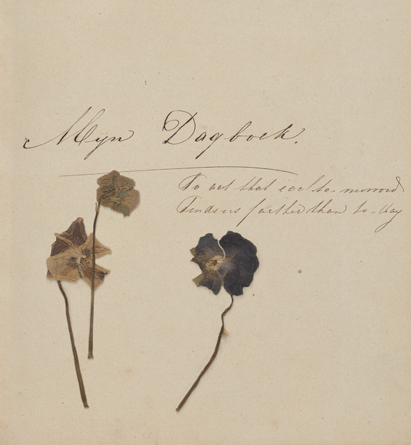 Diary of Johanna van Gogh-Bonger