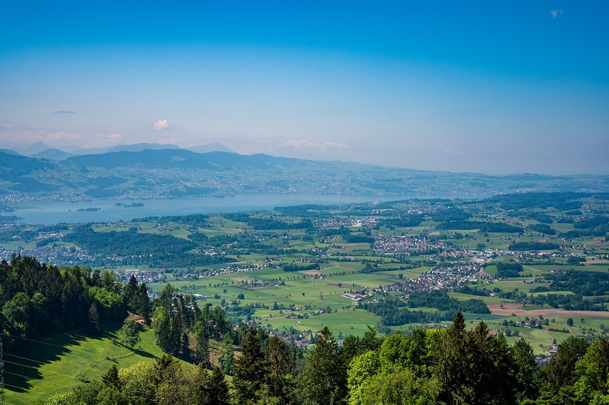 Panoramic view of the zurich lake from Bachtel