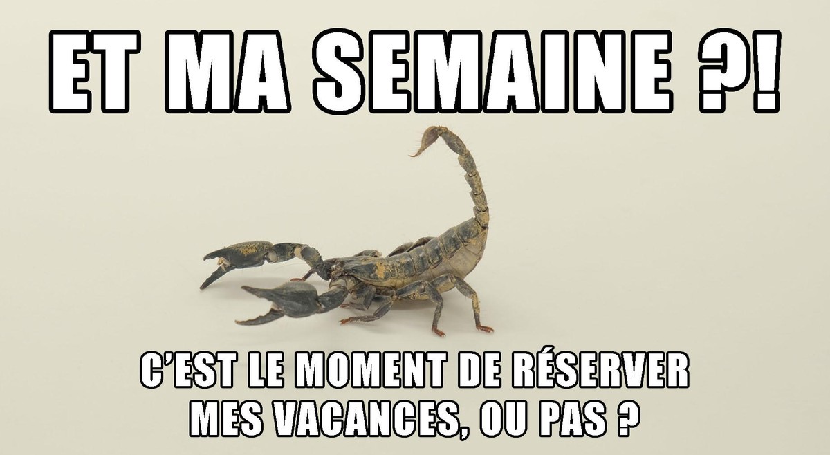 Semaine, scorpion, vacances