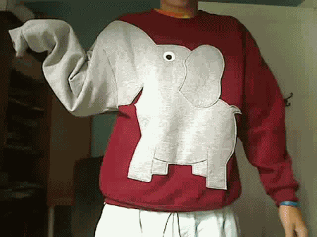 Animated GIF