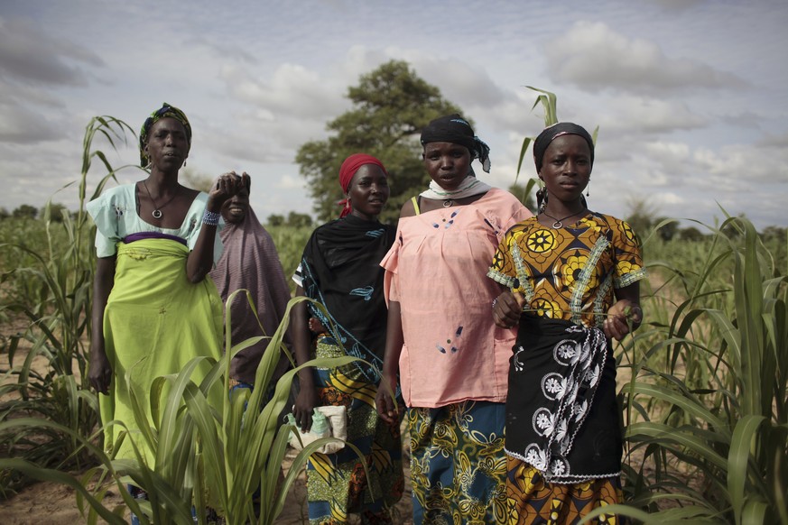 FILE �?? Young girls stand in a field of millet outside the remote village of Hawkantaki, Niger, July 19, 2012. A group of international aid organizations said Tuesday April 5, 2022 that West Africa i ...