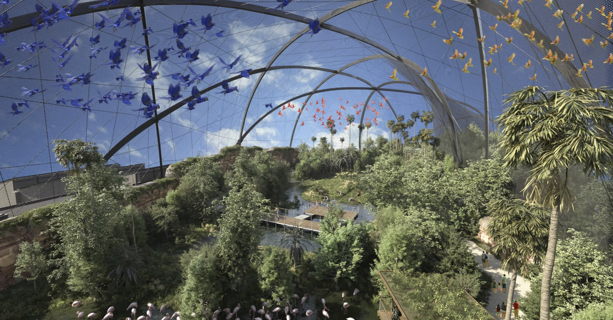 stahlbaufirma-ist-wegen-streit-mit-zoo-z-rich-um-voliere-in-nachlassstundung