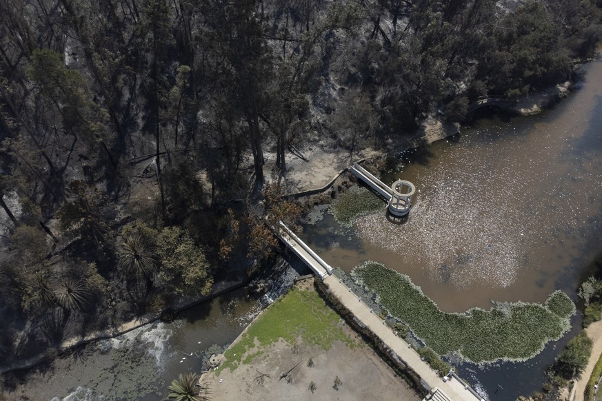 epa11129814 An aerial view shows a burned area of ​​the Vina del Mar Botanical Garden after a fire destroyed the garden in Vina del Mar, Chile, February 5, 2024.  A fire destroyed the botanical garden...