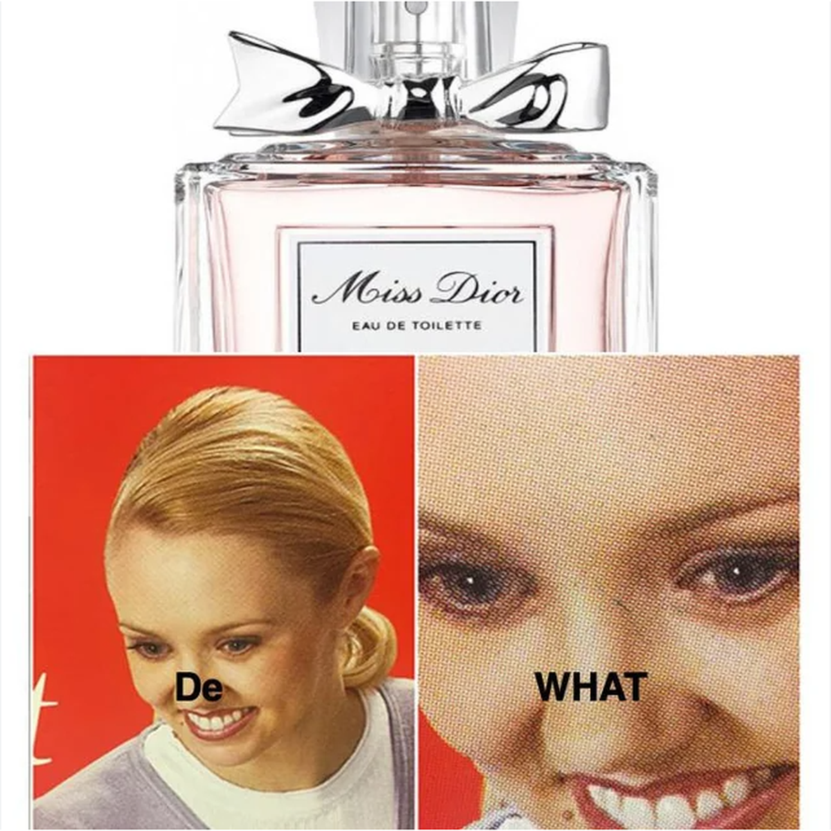 Meme zur französischen Sprache: Eau de Toilette