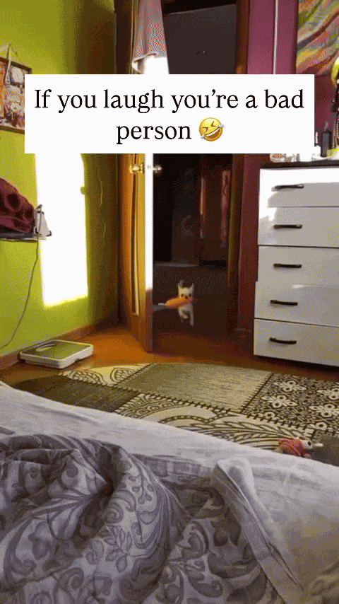 Animiertes GIF