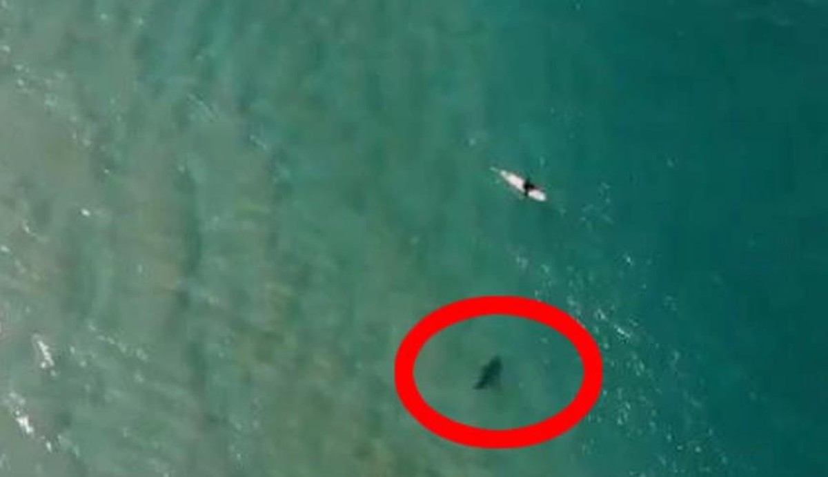 Hi Sharky!