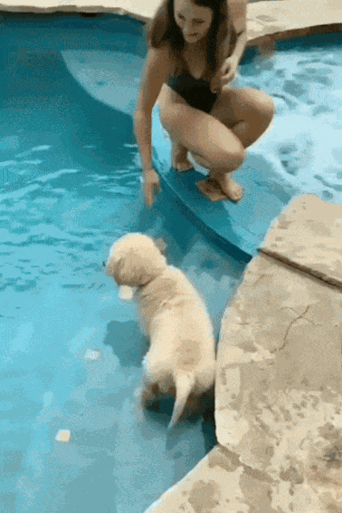 Animiertes GIF