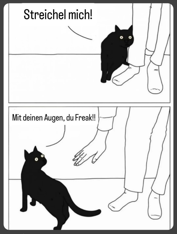 Picdump 154 – die Memes sind zurück aus der Sommerpause\n😹🤣