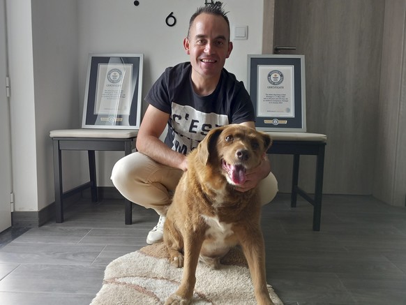 Bobi, a purebred Rafeiro do Alentejo Portuguese dog, poses for a photo with his owner Leonel Costa and his Guinness World Record certificates for the oldest dog, at their home in Conqueiros, central P ...