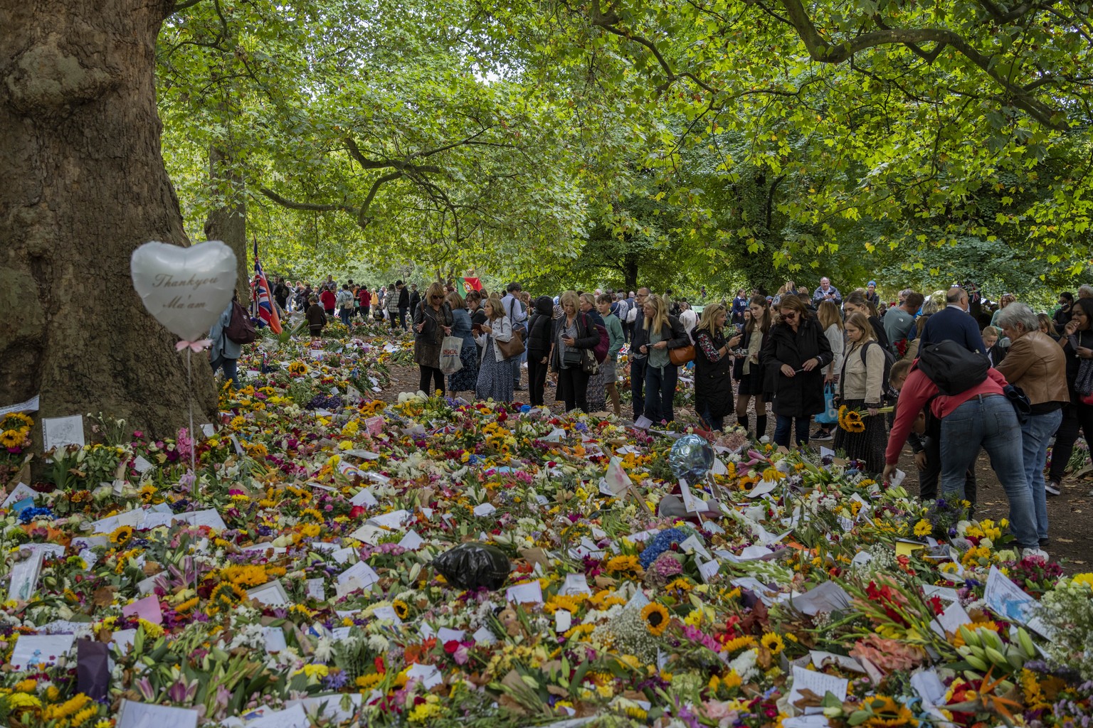 People look at flowers and messages placed for Queen Elizabeth II at Green Park memorial next to Buckingham Palace in London, Thursday, Sept. 15, 2022. The Queen will lie in state in Westminster Hall  ...