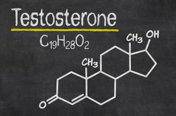 Testosteron ist das wichtigste Sexualhormon bei Männern. Aber auch Frauen produzieren das Hormon.  