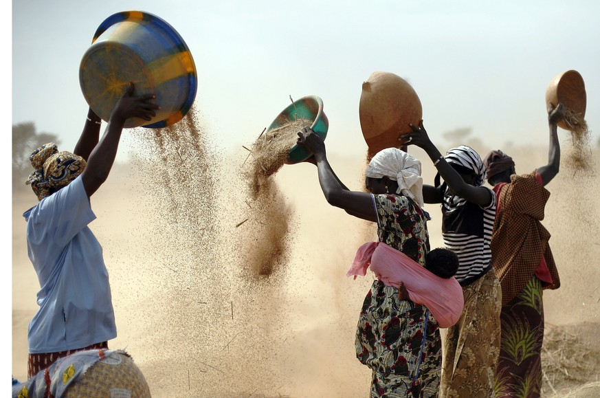 Malische Frauen trennen den Spreu vom Weizen auf einem Feld in der Nähe von Segou, Zentralmali. Die unsichere Lage im Land, die islamistischen Terroristen, die unberechenbaren Einsätze der Armee sowie die Blockade des ukrainsichen Weizens verschlechtern die kritische Ernährungslage in Mali weiter.