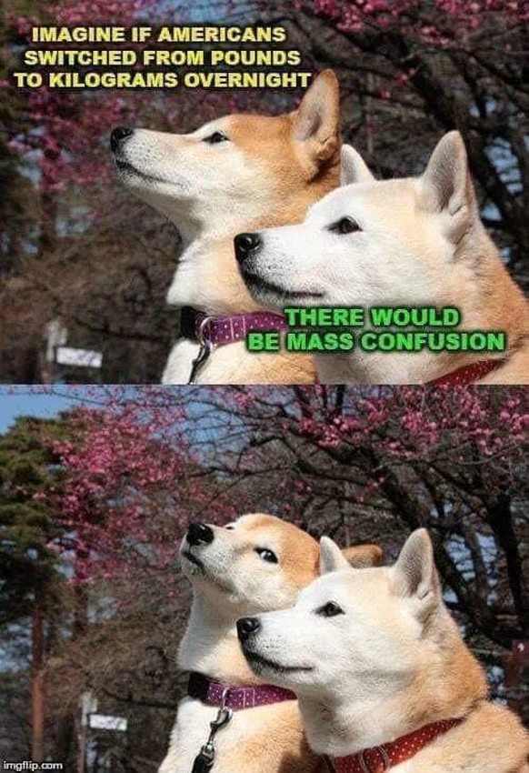 Und jetzt: 5 Minuten Luft anhalten! рџђЎ PICDUMP!
Puntime