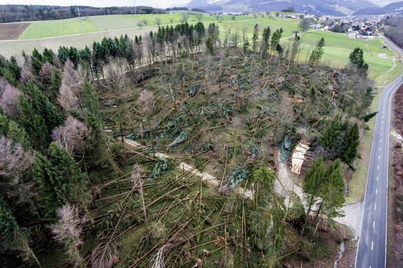 Ein Waldstueck bei Kestenholz SO mit umgestuerzten Baeumen zeigt die Zerstoerung des Wintersturms Burglind, am Freitag, 5. Januar 2018. (KEYSTONE/Christian Merz)