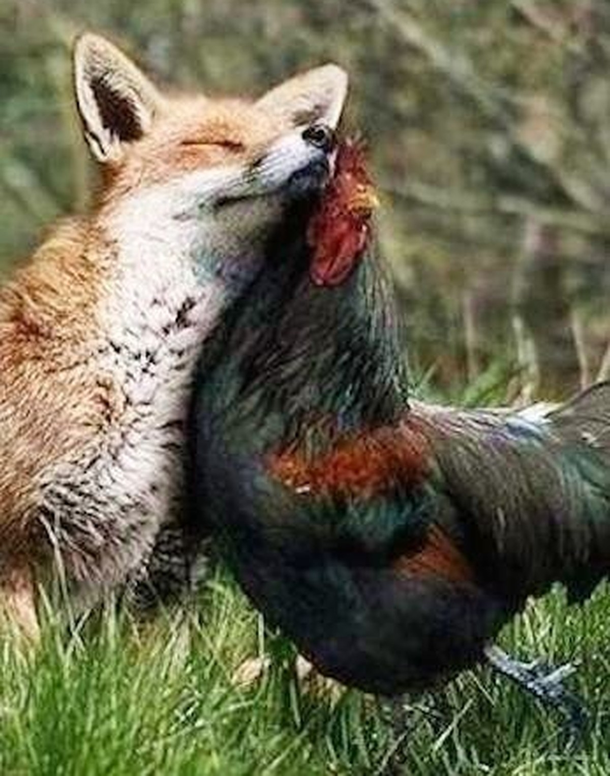 Lustige Tiere. Aka "fönni tiere".

Hier kann ich schreiben, was ich will. Wieso? Weil es niemanden schert, was hier steht.

Blabli. Bloblu. Düdelidü.. Hallo.

E= mc2

Die Quelle aller narrat ...