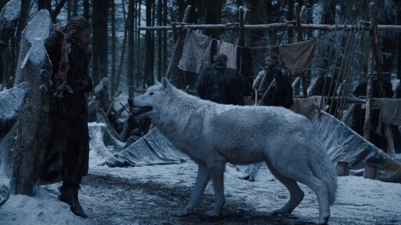 game of thrones direwolf