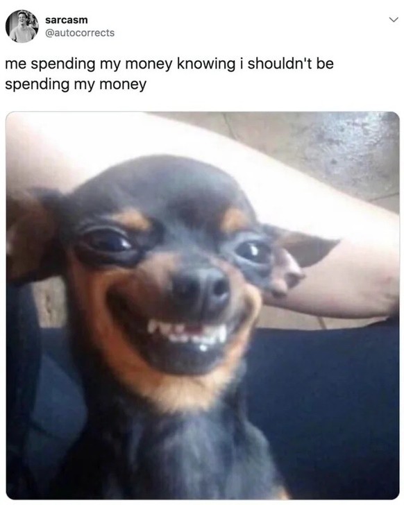 Funny and beautiful dog memes for World Dog Day 2023