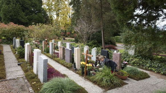 ZUM ALLERHEILIGEN DIESEN SAMSTAG, 1. NOVEMBER, STELLEN WIR IHNEN FOLGENDES NEUE BILDMATERIAL ZUR VERFUEGUNG --- General view of the cemetery Enzenbuehl , pictured in Zurich, Switzerland, on October 30 ...