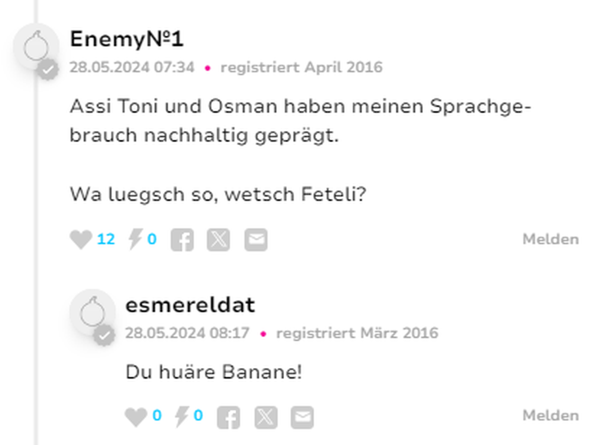 Jungedjargon watson Userinput