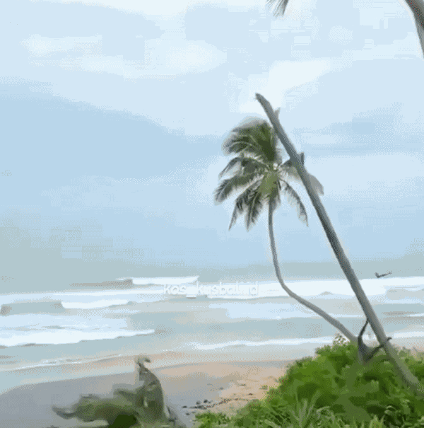 Animiertes GIF