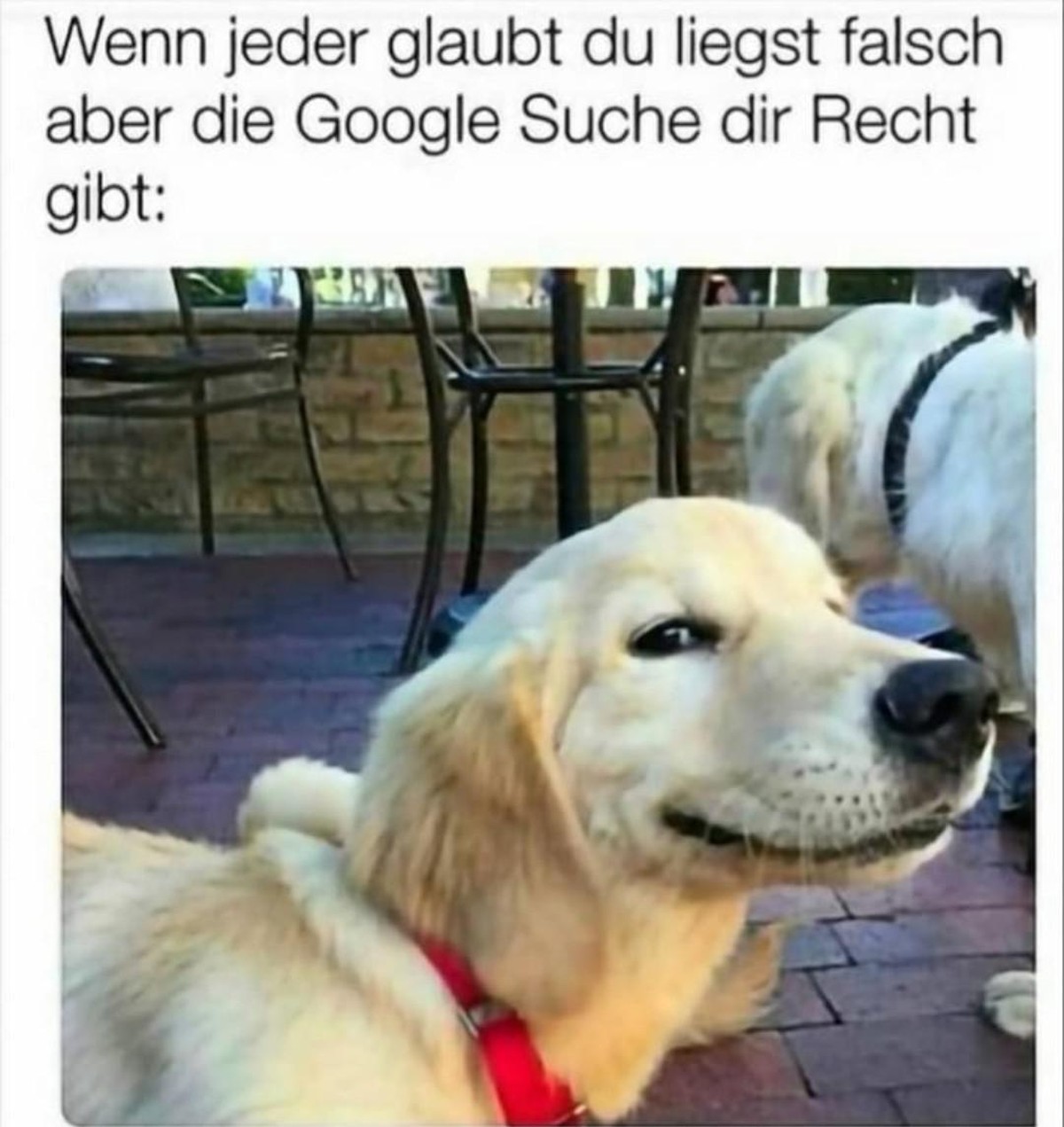 PICDUMP 430 вЂ“ Spassigkeiten gepaart mit einer kleinen AbkГјhlung рџҐ¶\n