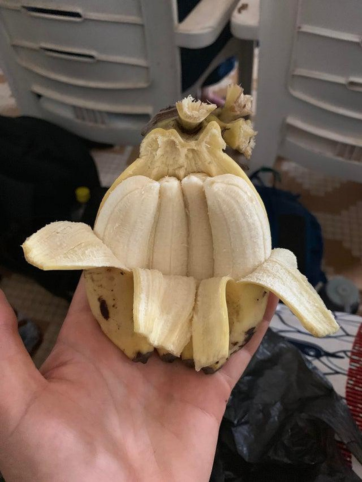 crazy nature