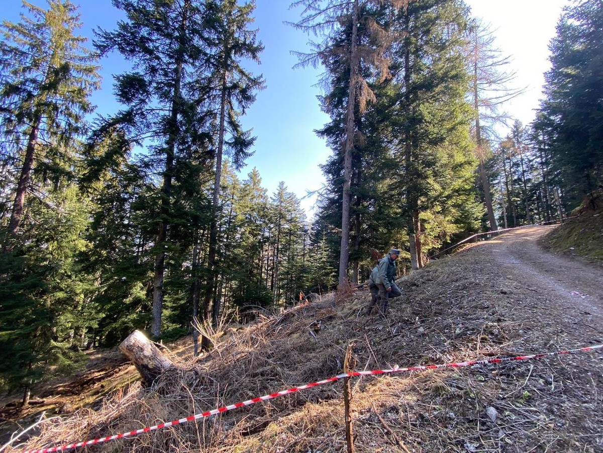ABD0003_20230409 - TRIENT - ITALIEN: ++ HANDOUT ++ ZU APA0107 VOM 8.4.2023 - Nach dem Tod eines 26-j�hrigen Joggers, der von einem B�ren in den W�ldern im norditalienischen Trentino angegriffen und t� ...