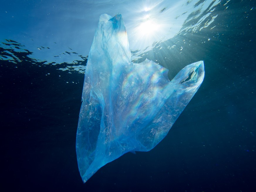 Plastikabfälle in den Ozeanen sind eines der grössten Umweltprobleme weltweit.