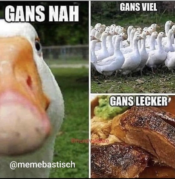 Reite einfach dem PICDUMP entgegen, dann kommt alles gut!\nGans flach... ЁЯд╖ЁЯП╝тАНтЩАя╕ПЁЯШЕ