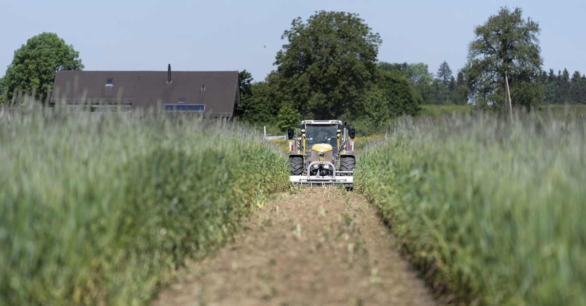 Die-Biodiversit-t-in-der-Schweiz-ist-vielerorts-in-schlechtem-Zustand