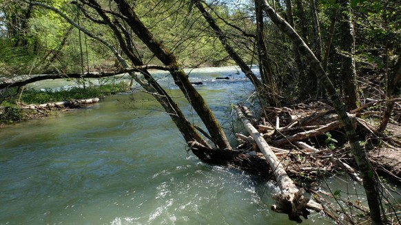 Gewässerperlen Schweiz wilde naturnahe Schweizer Flüsse unberührt Flusswanderungen Rauszeit Aubonne