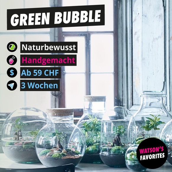 Die Flaschengärten von Green Bubble.