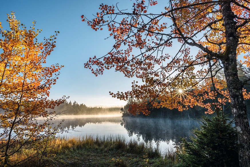 Rauszeit Weltreise Saignelegier, Etang de la Gruere